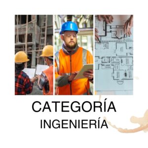 CategorÃa IngenierÃa