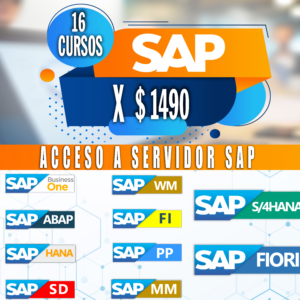 Categoría SAP